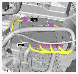 Distribution Motor - Right Front Face/Feet